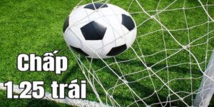 Hướng Dẫn Cách Đánh Kèo Chấp 1.25 Hiệu Quả Từ Cao Thủ